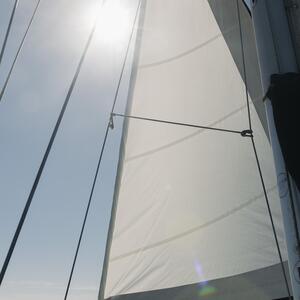 Gallery Photo 6