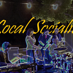 The Local Socialites, profile image
