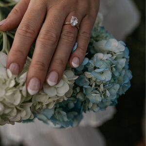 Gallery Photo 11