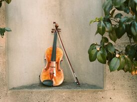 Minuetto Strings - String Quartet - San Francisco, CA - Hero Gallery 4