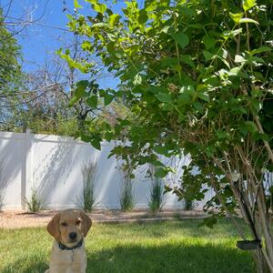 Gallery Photo 10