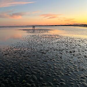 Gallery Photo 26