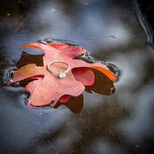 Gallery Photo 19
