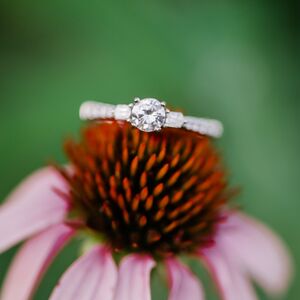 Gallery Photo 44