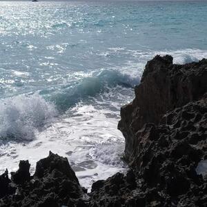 Gallery Photo 41