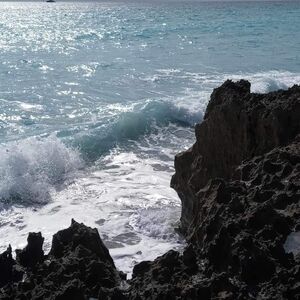 Gallery Photo 41