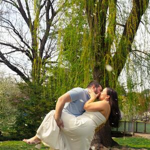 Gallery Photo 4