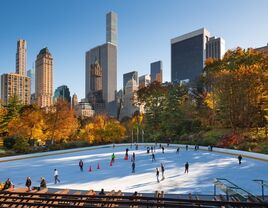 Wollman Ice Skating Rink in Central Park, New York City