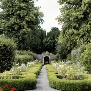 Gallery Photo 15