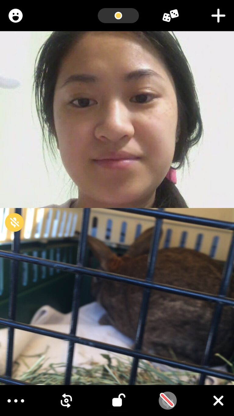 The video chat where Ziyue got Twix, his bunny. Hannah was very excited for him (contrary to how she looks in this photo haha)