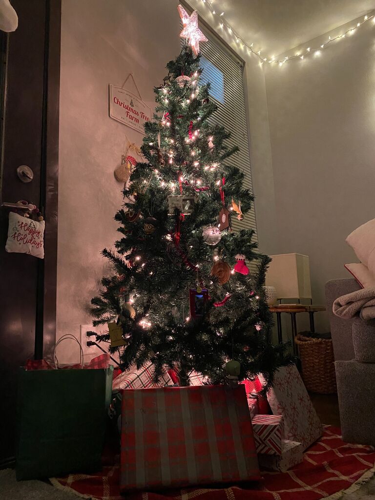 James and Brooklyn spend their first Christmas in their apartment together🎄