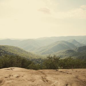 Gallery Photo 13