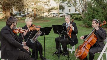Condor String Quartet - String Quartet - Santa Barbara, CA - Hero Main