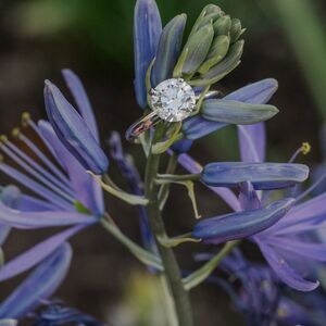 Gallery Photo 20
