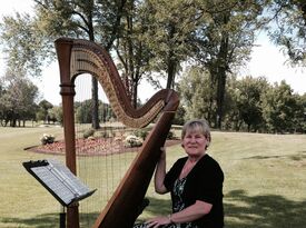 Debbie Beck, Harpist - Harpist - Cleveland, OH - Hero Gallery 1