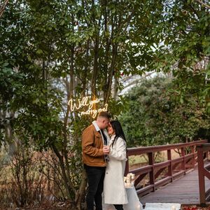 Gallery Photo 29