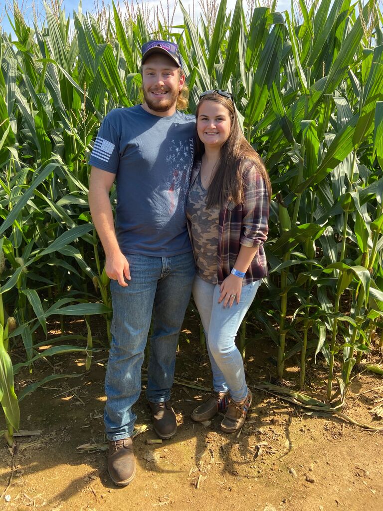Pumpkin Picking