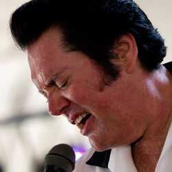 BRIAN ANDREWS,AS ELVIS THE KING & FRIENDS, profile image