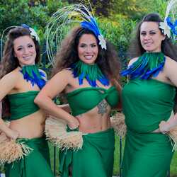 D.C. Hula Girls (Polynesian Entertainers), profile image