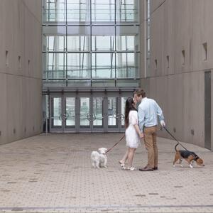 Gallery Photo 49