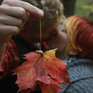 Gallery Photo 21