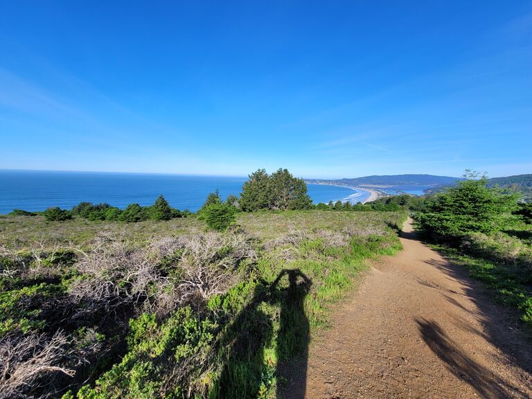 Mt Tamalpais State Park 