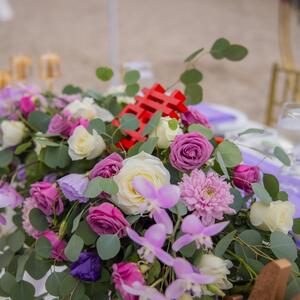 Gallery Photo 26