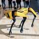 Our Boston Dynamics Robot Dog Spot will amaze your guests.