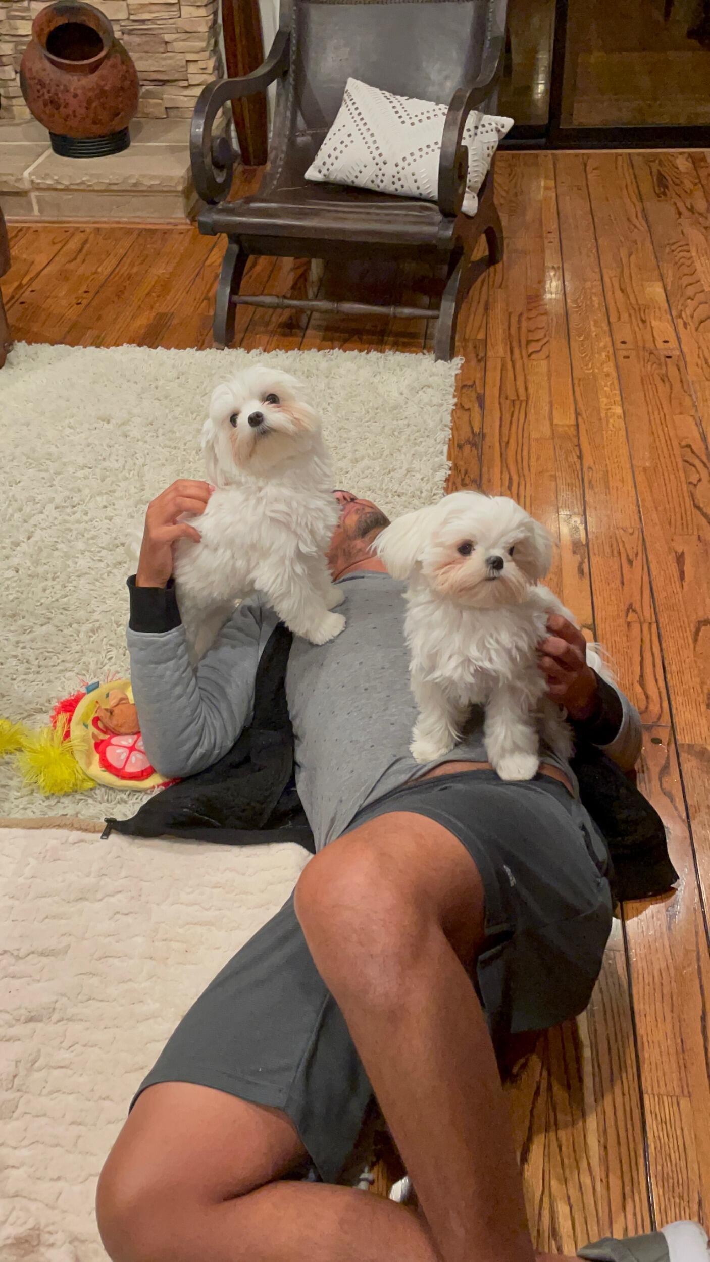 Wael meets the puppies!