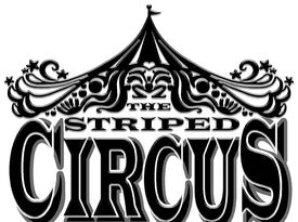 The Striped Circus - Juggler - Redford, MI - Hero Gallery 1