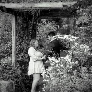 Gallery Photo 14