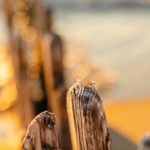 Gallery Photo 22