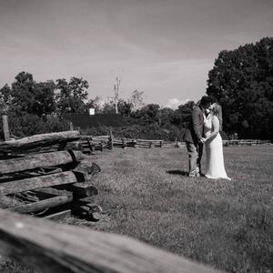 Gallery Photo 33