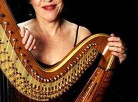 Susan Miron - Harpist - Newton, MA - Hero Gallery 2