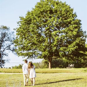 Gallery Photo 9
