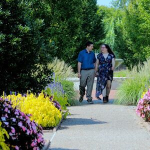 Gallery Photo 31