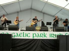Celtic Sounds - Irish Band - Elburn, IL - Hero Gallery 2