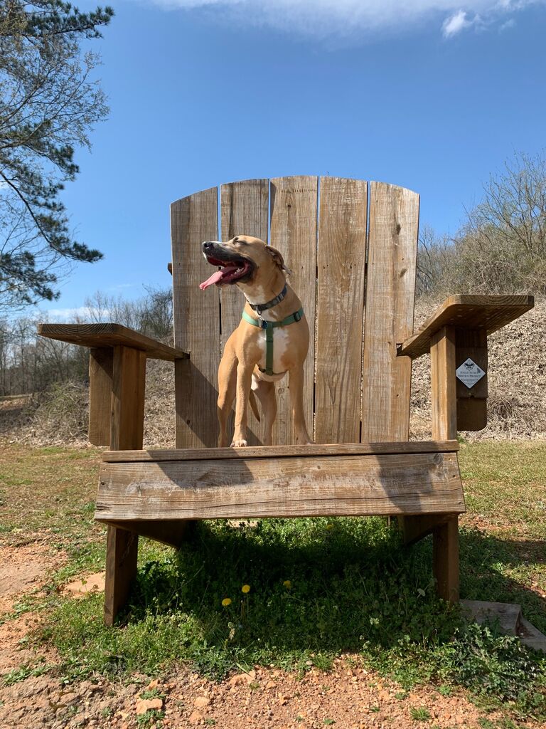 Always enjoying the outdoors in the Alabama summer