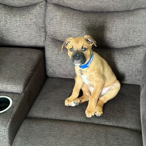 Gallery Photo 25