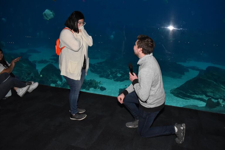 WE GOT ENGAGED!!!!!!! (Georgia Aquarium)