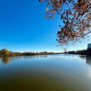 Gallery Photo 30