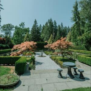 Gallery Photo 4