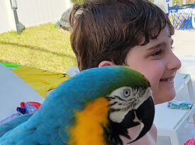 Linda The Parrot Lady - Animal For A Party - Delray Beach, FL - Hero Gallery 4