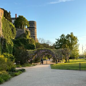 Gallery Photo 10