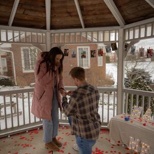 Gallery Photo 6