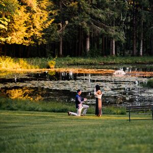 Gallery Photo 9