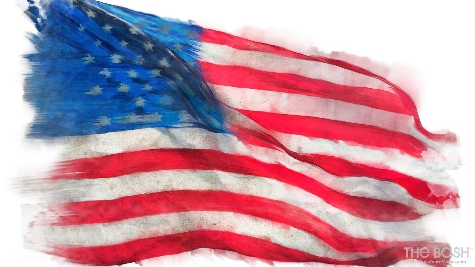 American Flag Zoom Background