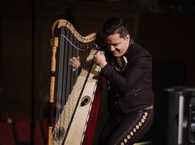 Mariachi Herencia de México - Mariachi Band - Chicago, IL - Hero Gallery 4