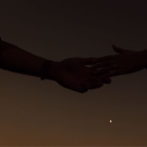 Gallery Photo 11