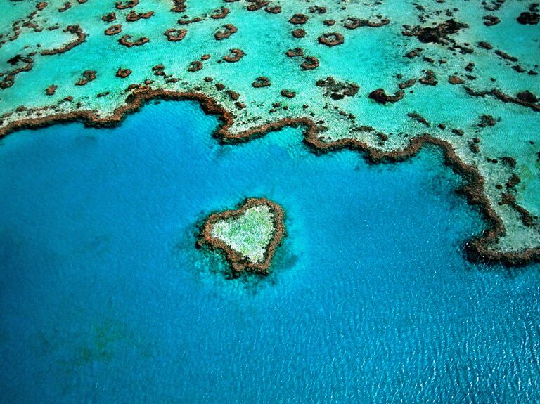 The Great Barrier Reef for the best Birthday Trip